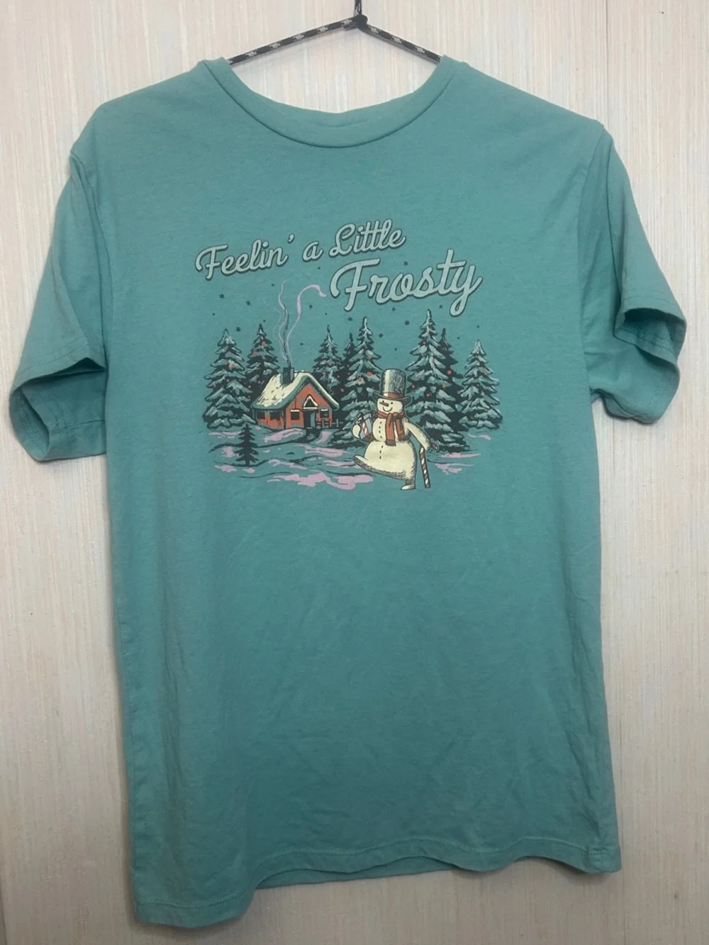 Feelin' a Little Frosty Holiday Graphic Tee - Teal Tags Missing matches men’s sm